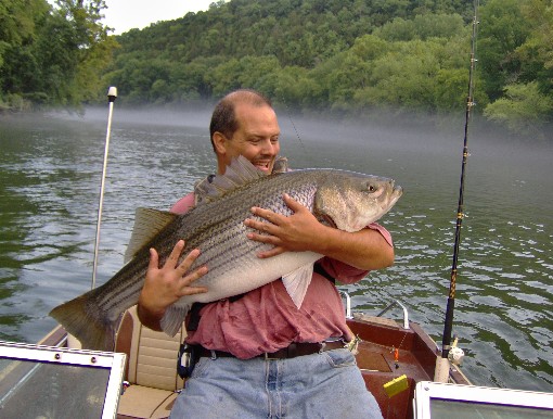 StowMaster Nets a 58lb Striper
