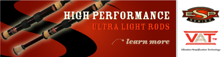 esp-banner